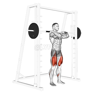 Front squat with smith machine sale