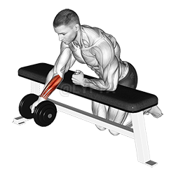 Thumbnail for the video of exercise: Over Bench One Arm Reverse Wrist Curl