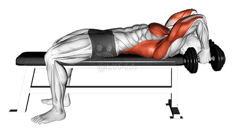 Thumbnail for the video of exercise: Dumbbell Bent Arm Pullover Hold Isometric