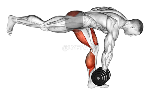 Thumbnail for the video of exercise: Dumbbell RDL ዘርጋ Isometric