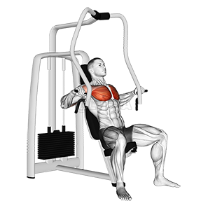Thumbnail for the video of exercise: Lever Chest Press