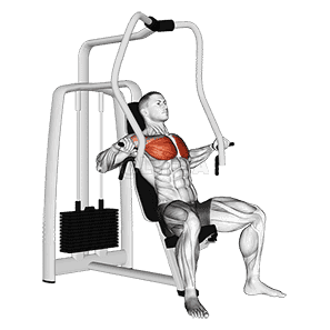 Lever Chest Press - Video Guide 