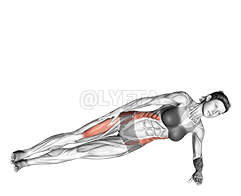 Thumbnail for the video of exercise: Lateral Side Plank