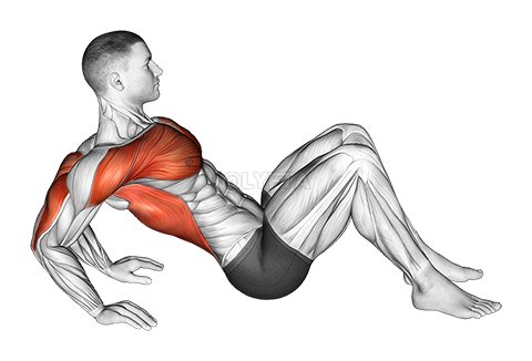 Thumbnail for the video of exercise: Triceps Dip Stretch