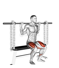 Thumbnail for the video of exercise: Barbell Bench Squat