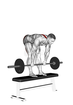 Thumbnail for the video of exercise: Barbell Stiff Leg Deadlift on Bench