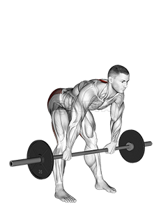 Thumbnail for the video of exercise: Barbell Wide Stance Stiff Leg Deadlift