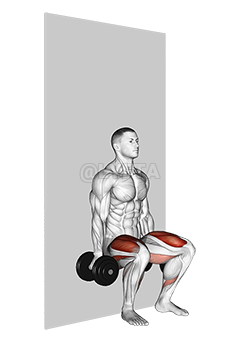 Thumbnail for the video of exercise: Dumbbell Wall Squat