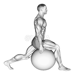 Thumbnail for the video of exercise: Exercise Ball Hip Flexor Stretch