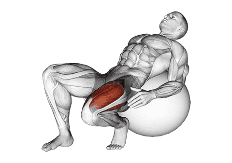 Thumbnail for the video of exercise: Exercise Ball Seated Quad Stretch