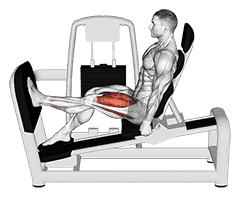 Thumbnail for the video of exercise: Lever Seated One Leg Squat