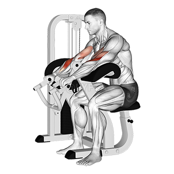 Thumbnail for the video of exercise: Lever Reverse Grip Preacher Curl