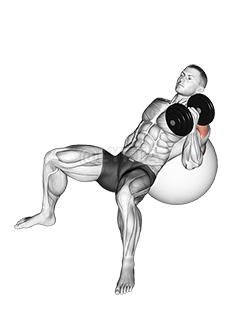 Thumbnail for the video of exercise: Dumbbell Incline One Arm Hammer Press on Exercise Ball