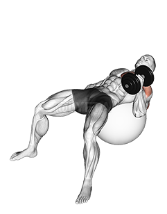 Thumbnail for the video of exercise: Dumbbell One Arm Hammer Press on Exercise Ball