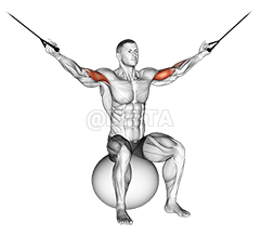 Thumbnail for the video of exercise: Cable Overhead Curl on Exercise Ball