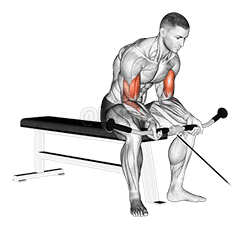 Thumbnail for the video of exercise: Seated Curl