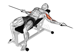 Thumbnail for the video of exercise: Cable Two Arm Curl on Incline Bench