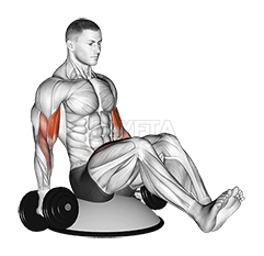 Thumbnail for the video of exercise: Dumbbell Biceps Curl V Sit on Bosu Ball