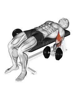 Thumbnail for the video of exercise: Dumbbell Lying Supine Biceps Curl