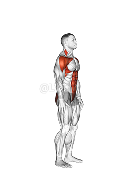 Thumbnail for the video of exercise: Posterior Step to Overhead Reach