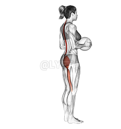 Thumbnail for the video of exercise: Medicine Ball Single Leg Deadlift