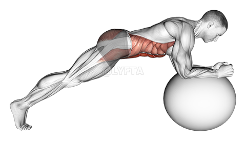 Thumbnail for the video of exercise: Stability Ball Front Plank