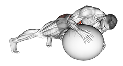 Thumbnail for the video of exercise: Prone Twist On Stability Ball