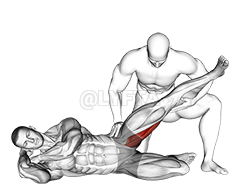 Thumbnail for the video of exercise: Estiramiento de aductores acostado lateralmente asistido