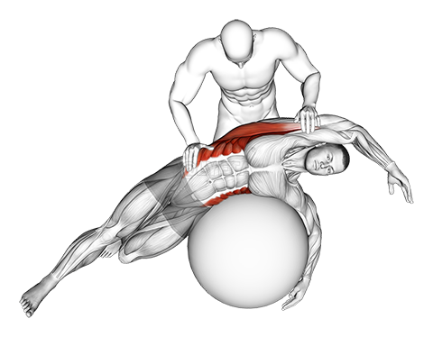 Thumbnail for the video of exercise: Assisted Oblique And Latissimus Dorsi Stretch On Stability Ball