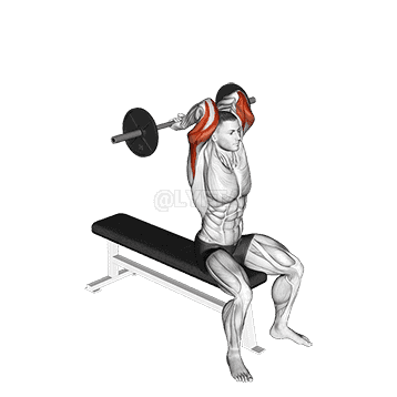 Behind the neck tricep press sale