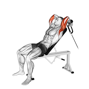 Thumbnail for the video of exercise: Rope Incline Tricep Extension