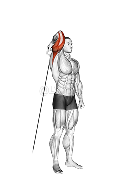 Thumbnail for the video of exercise: Cable Standing Reverse Grip One Arm Overhead Tricep Extension