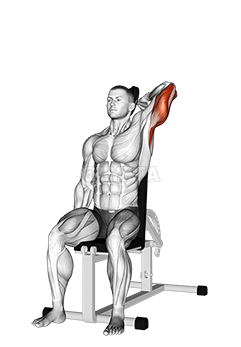 Thumbnail for the video of exercise: Dumbbell Seated Reverse Grip One Arm Overhead Tricep Extension