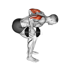 Thumbnail for the video of exercise: Standing Bent Over Two Arm Triceps Extension