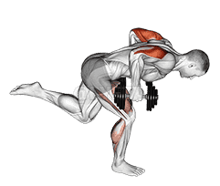 Thumbnail for the video of exercise: Dumbbell Tricep Kickback With Stork Stance