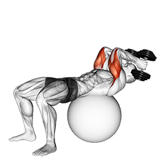 Thumbnail for the video of exercise: Cleachtadh Liathróid Supine Síneadh Triceps