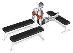 Thumbnail for the video of exercise: Three Bench Dip