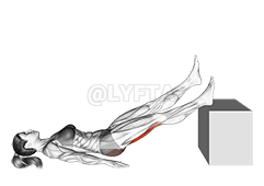 Thumbnail for the video of exercise: Lying Single Straight Leg Hip Extension