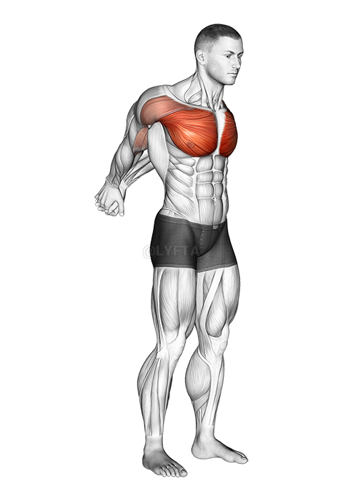 Vector Woman Doing Standing Chest Stretch. Arms Backward Chest