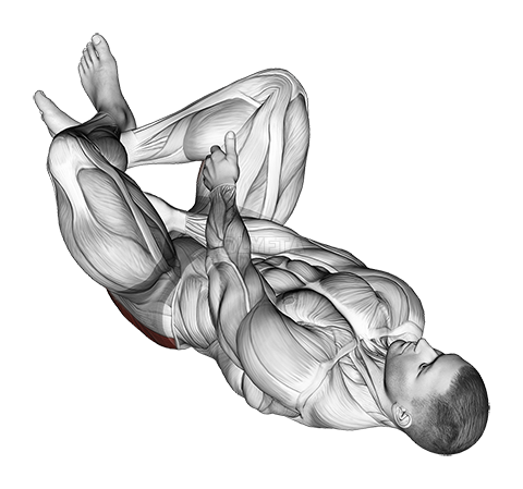 Reclining Lower Trunk Extensor Stretch - Video Guide