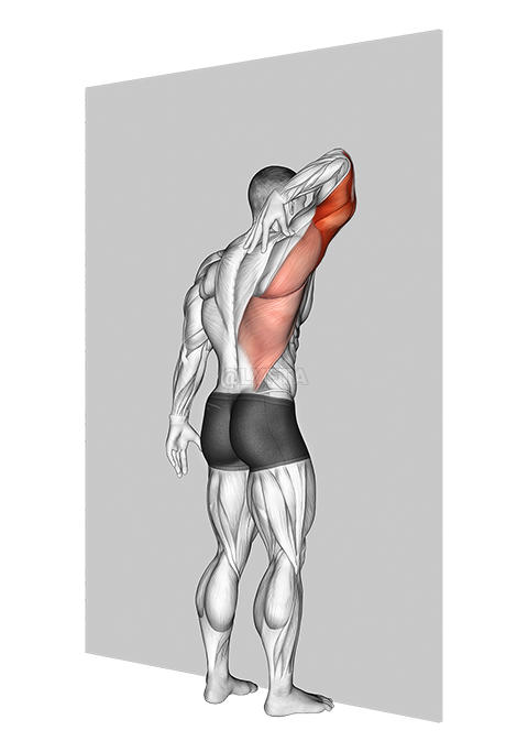 Thumbnail for the video of exercise: Triceps Stretch Against Wall