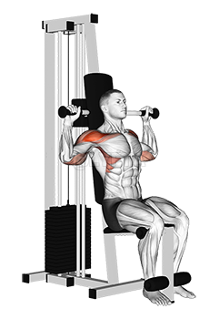 Thumbnail for the video of exercise: Lever Cable Shoulder Press