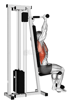 Thumbnail for the video of exercise: Lever Cable Rear Pulldown