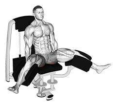Thumbnail for the video of exercise: Lever Seated Hip Adduction