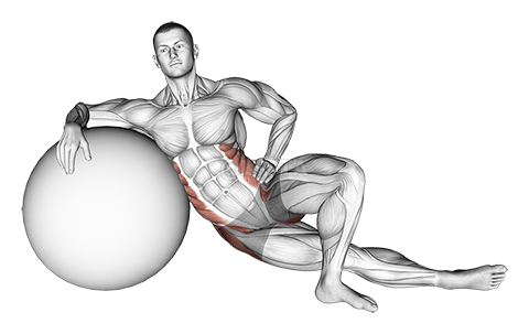 Thumbnail for the video of exercise: Exercise Ball Lying Abductor Stretch