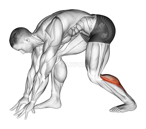 Thumbnail for the video of exercise: Crouching Heel Back Achilles Stretch