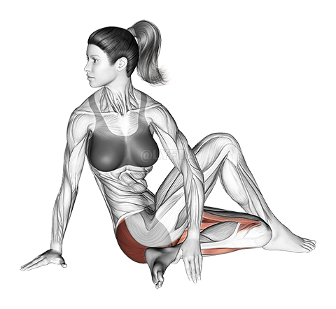 Thumbnail for the video of exercise: Seated Knee Up Extended Rotation Stretch