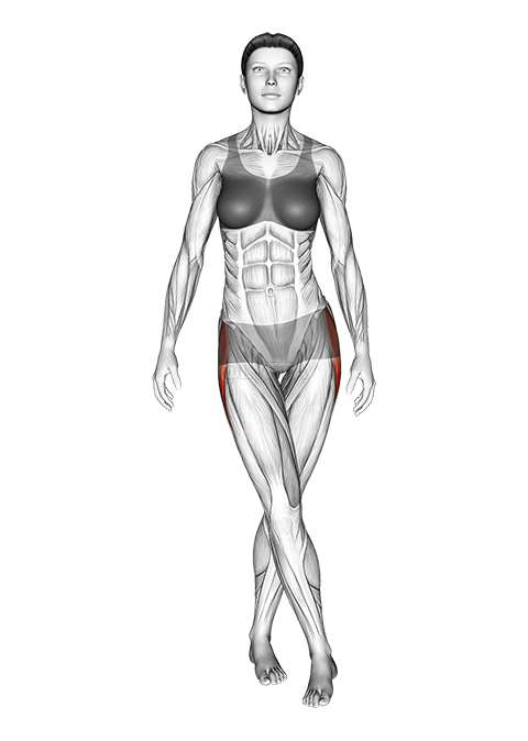 Thumbnail for the video of exercise: Standing Iliotibial Stretch