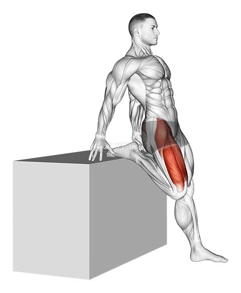 Thumbnail for the video of exercise: Supported One Leg Standing Hip Flexor And Knee Extensor Stretch