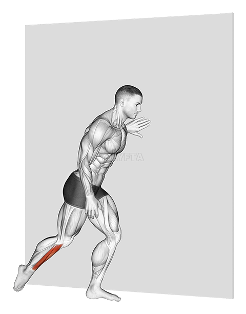 Thumbnail for the video of exercise: Standing Shin Stretch